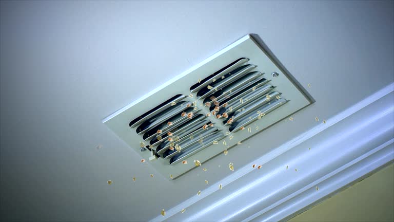 Best Air Duct Cleaning Company Near Me  in Higginsville, MO