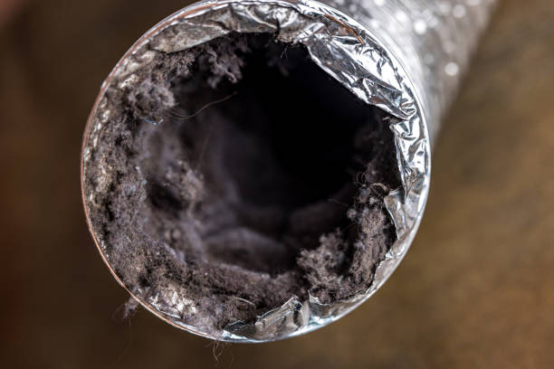 Best Air Duct Sanitizing Services  in Higginsville, MO